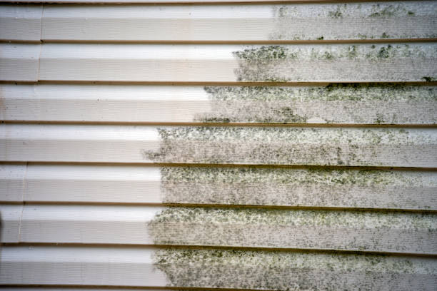 Best Siding Repair  in Gervais, OR